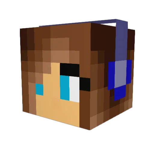 Duck_Hunter2248 Minecraft avatar head, 3D render