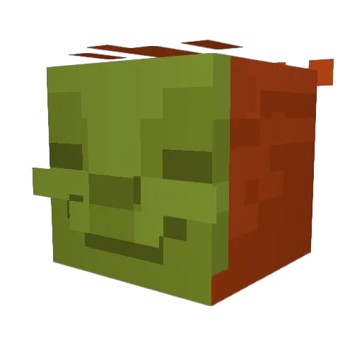 Duck_Job Minecraft avatar head, 3D render