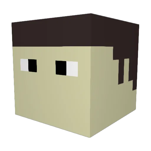 Duck_Punt Minecraft avatar head, 3D render