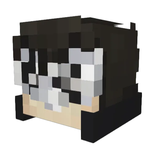 Duck_Wafer Minecraft avatar head, 3D render