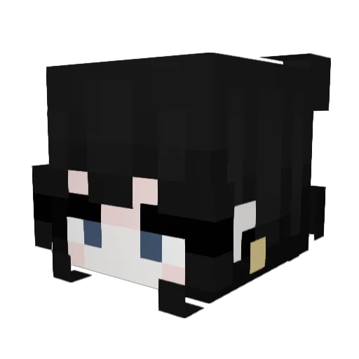 Duck_fly Minecraft avatar head, 3D render