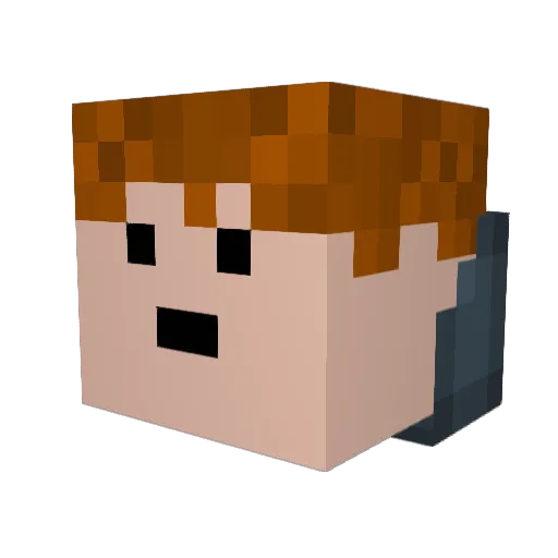 Duckadoo22 Minecraft avatar head, 3D render