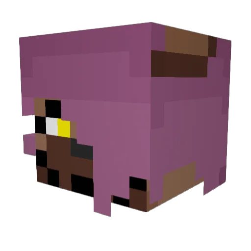 Duckbagg Minecraft avatar head, 3D render