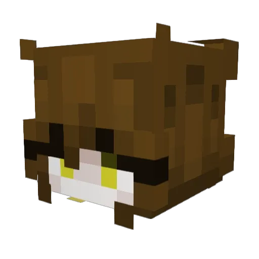Duckbird001 Minecraft avatar head, 3D render