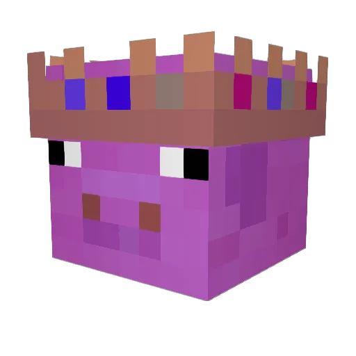 Duckchow42069 Minecraft avatar head, 3D render