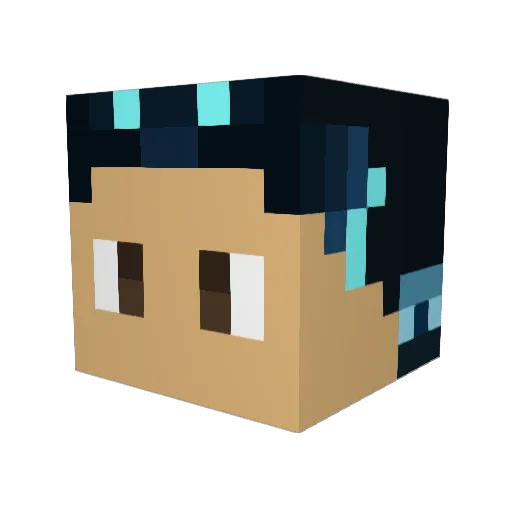 Duckdaddy14 Minecraft avatar head, 3D render