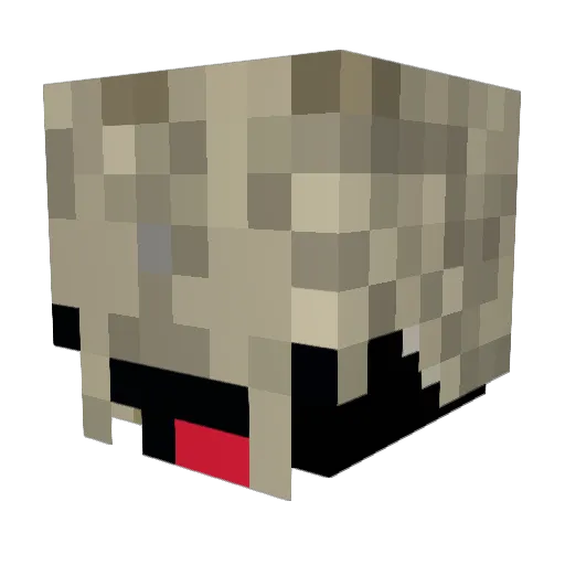 Duckerino_ Minecraft avatar head, 3D render