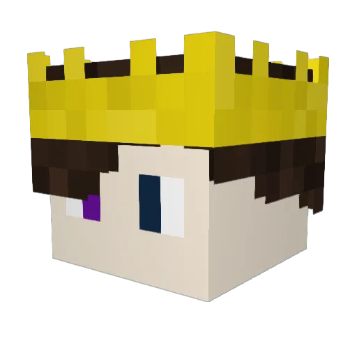 Duckerton_ Minecraft avatar head, 3D render