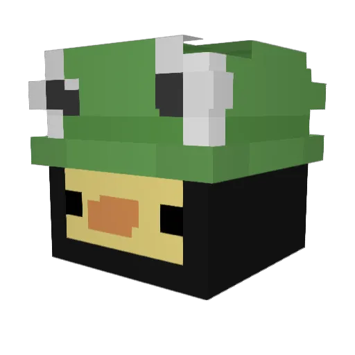 DuckiBoi3 Minecraft avatar head, 3D render