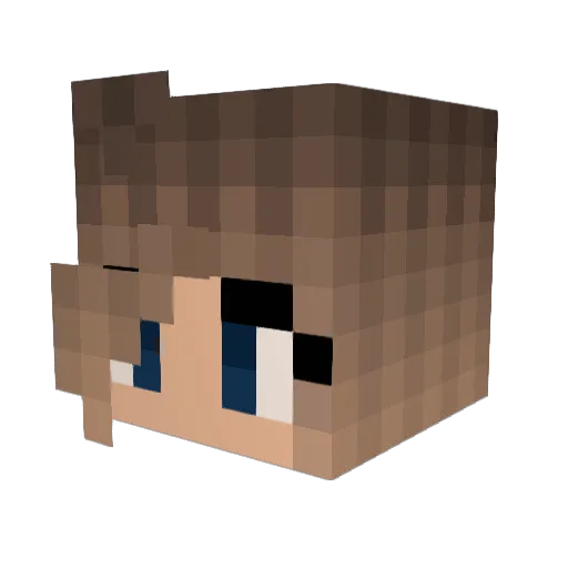 Duckie_18 Minecraft avatar head, 3D render