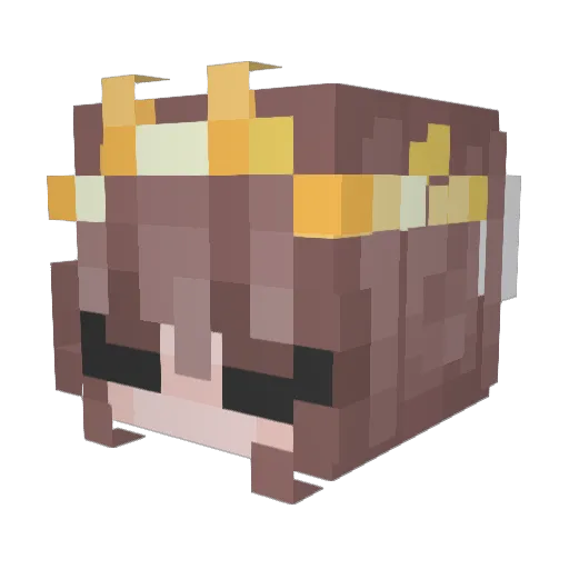 Duckie_Quackie_ Minecraft avatar head, 3D render