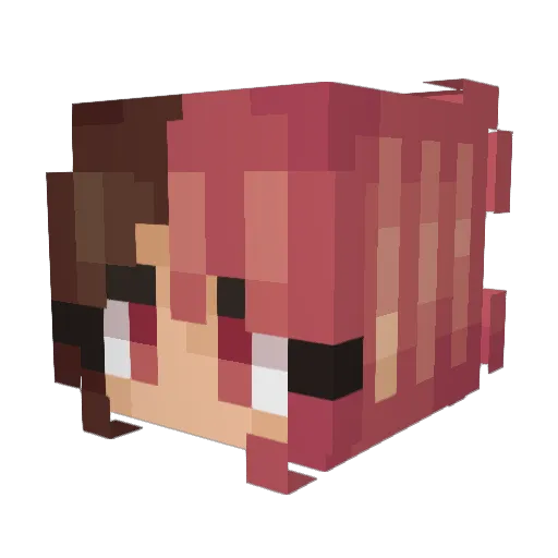 DuckiestDruid49 Minecraft avatar head, 3D render