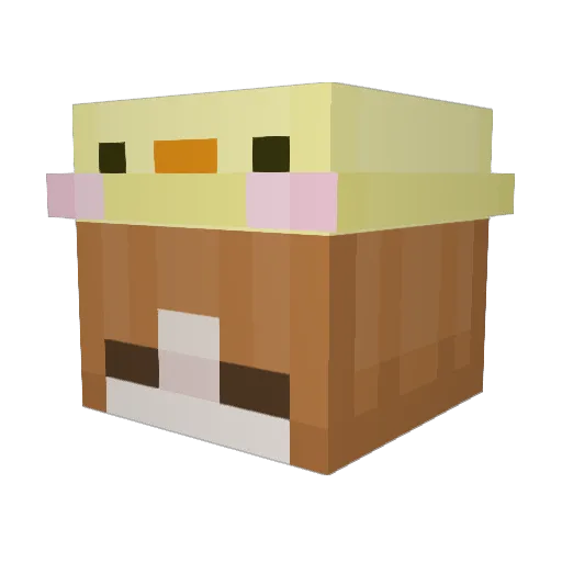 Duckilein Minecraft avatar head, 3D render