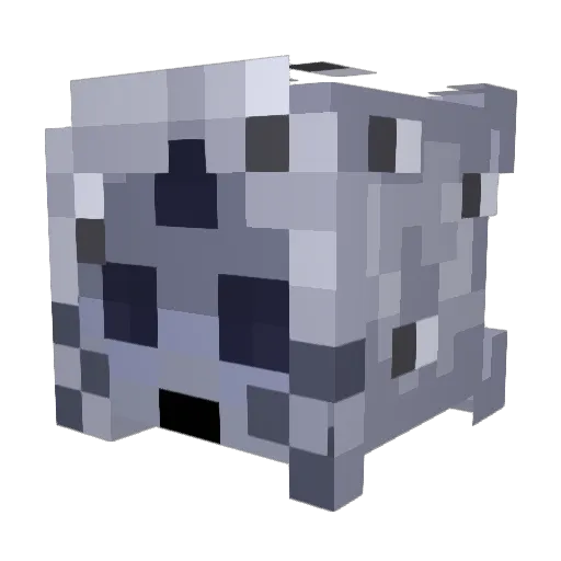 DuckinatorStarz9 Minecraft avatar head, 3D render