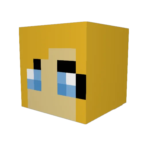 DuckingNinja Minecraft avatar head, 3D render