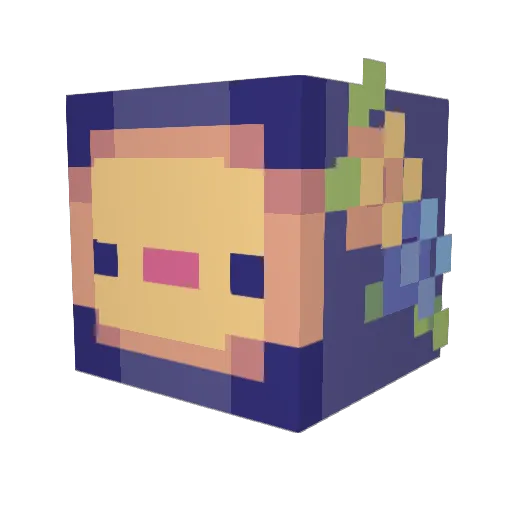 Duckman9873 Minecraft avatar head, 3D render