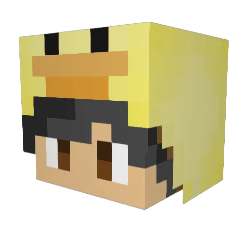 Ducko__Mode Minecraft avatar head, 3D render