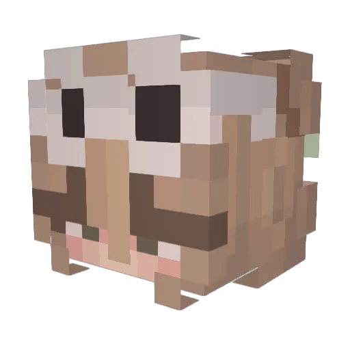 Duckrr__ Minecraft avatar head, 3D render