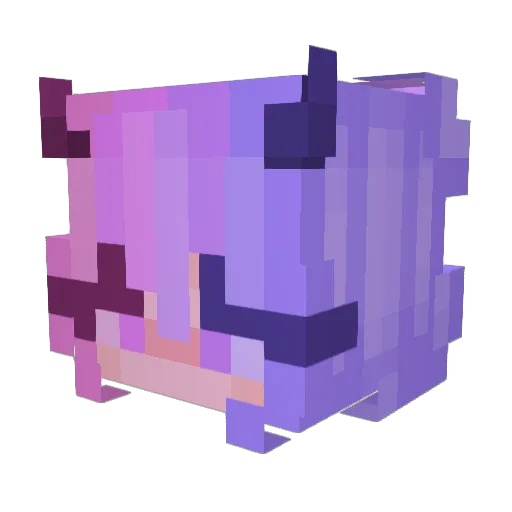 DucksForSale Minecraft avatar head, 3D render