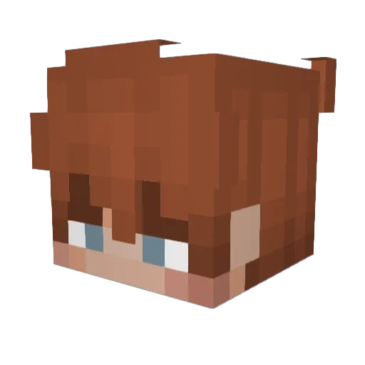 DucksOnFire Minecraft avatar head, 3D render