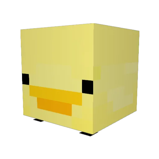 DucksOnQuackk Minecraft avatar head, 3D render