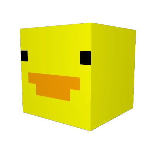 DucksOnQuak_ Minecraft avatar head, 3D render