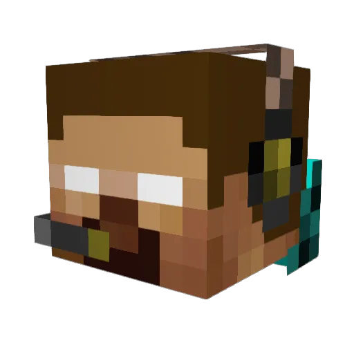 DucksTM Minecraft avatar head, 3D render