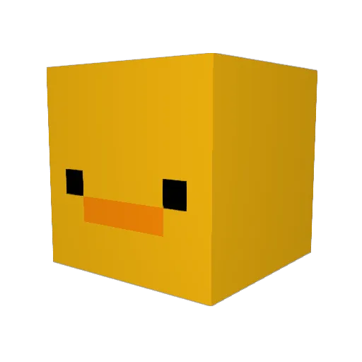 Ducks_nQuacks Minecraft avatar head, 3D render
