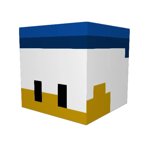 DucksonQuacks Minecraft avatar head, 3D render