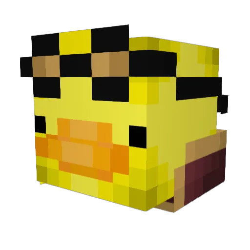 Duckster1202 Minecraft avatar head, 3D render