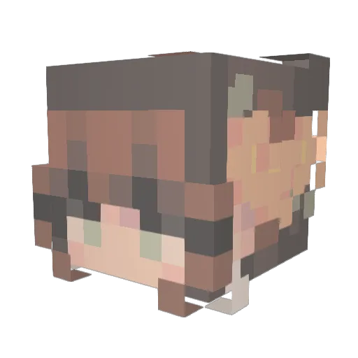Ducktheduckling Minecraft avatar head, 3D render