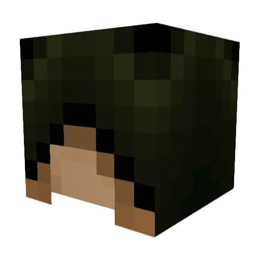 Duckworthy3 Minecraft avatar head, 3D render