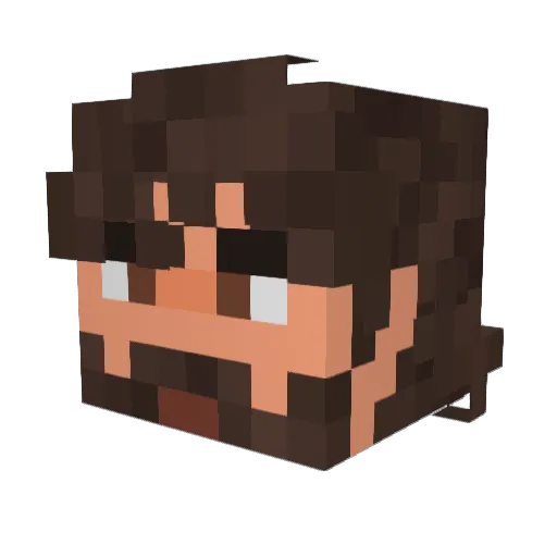 Ducky1012 Minecraft avatar head, 3D render