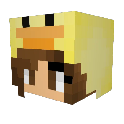 Ducky166 Minecraft avatar head, 3D render