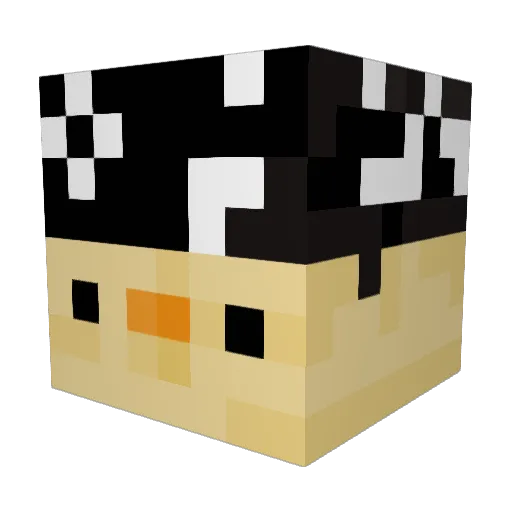 Ducky2120 Minecraft avatar head, 3D render