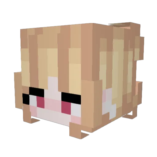 Ducky425 Minecraft avatar head, 3D render