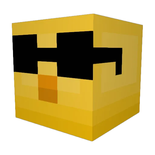 Ducky6562 Minecraft avatar head, 3D render