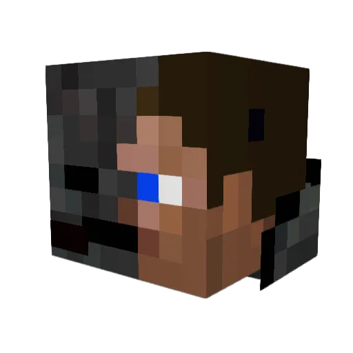 Ducky667_ Minecraft avatar head, 3D render