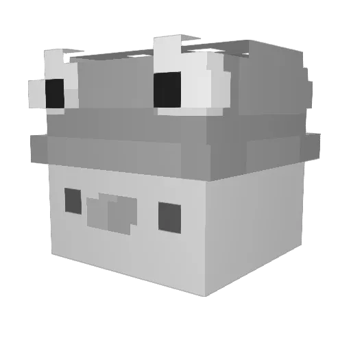 DuckyBooper Minecraft avatar head, 3D render