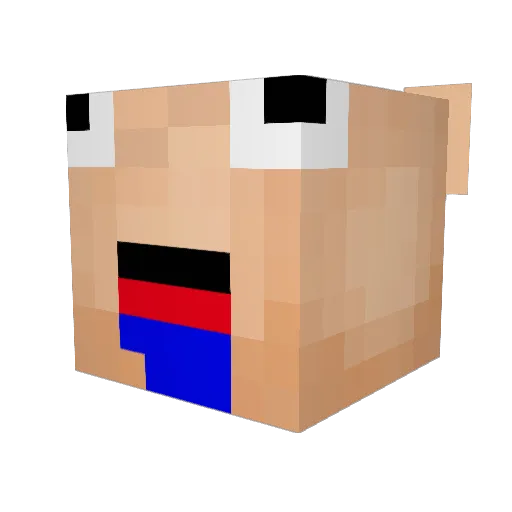 DuckyDecky Minecraft avatar head, 3D render