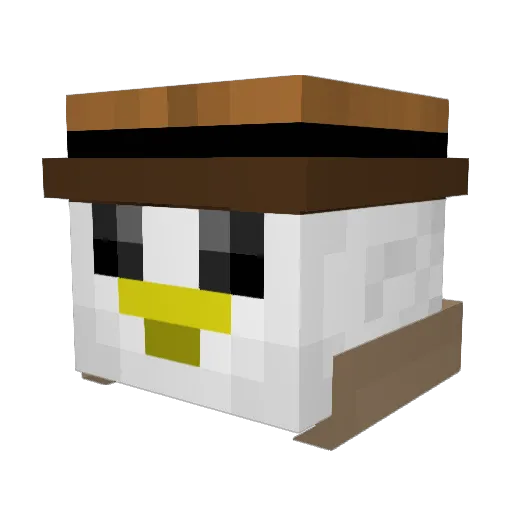 DuckyDooDah Minecraft avatar head, 3D render