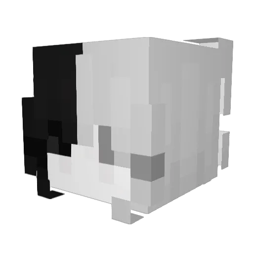 DuckyDuck2137 Minecraft avatar head, 3D render