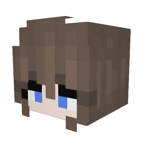 DuckyFlies Minecraft avatar head, 3D render