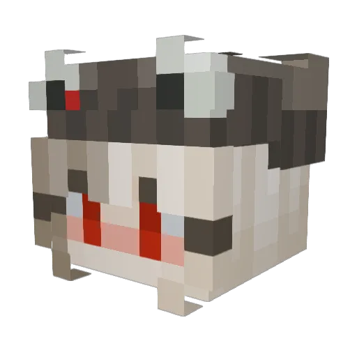 DuckyGirl710 Minecraft avatar head, 3D render