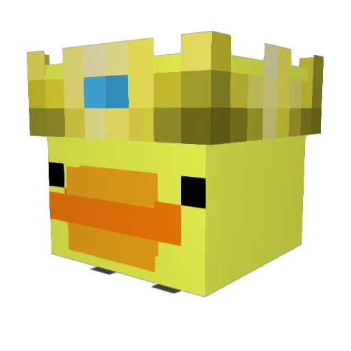DuckyMc____ Minecraft avatar head, 3D render