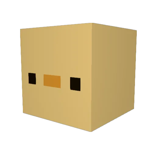 DuckyOverLord252 Minecraft avatar head, 3D render