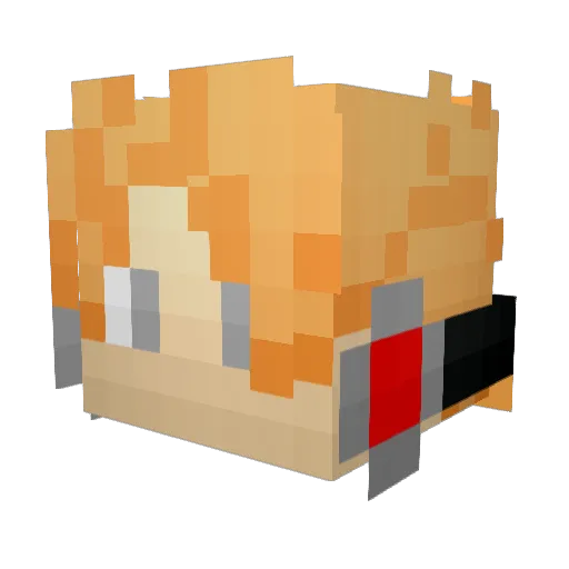 DuckyQuack546 Minecraft avatar head, 3D render