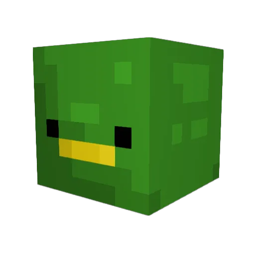 DuckySNL Minecraft avatar head, 3D render
