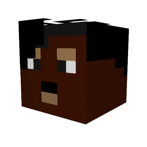 Ducky_071 Minecraft avatar head, 3D render