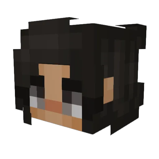 Ducky_777 Minecraft avatar head, 3D render